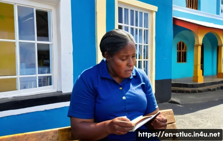 세인트루시아 뉴스 및 언론 관련 이미지 2